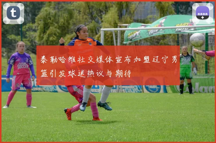 泰勒哈维社交媒体宣布加盟辽宁男篮引发球迷热议与期待