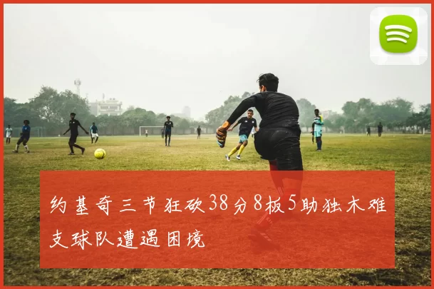 约基奇三节狂砍38分8板5助独木难支球队遭遇困境